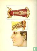 Atlas anatomique du corps humain - Afbeelding 2