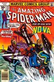 The Amazing Spider-Man 171 - Afbeelding 1