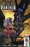 Black Panther 16