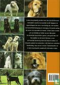 Honden encyclopedie - Afbeelding 2
