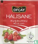 Kusburnu