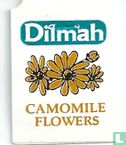 Camomile Flowers - Afbeelding 3