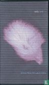 Live - Image 1