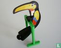 Toucan on perch