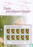 Butterflies in the Netherlands - Dune pearl moth - Image 2