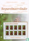 Butterflies in the Netherlands - Forest fritillary - Image 2