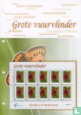 Butterflies in the Netherlands - Large Fire Butterfly - Image 2
