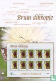 Butterflies in the Netherlands - Brown Dikkopje - Image 2