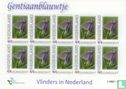 Butterflies in the Netherlands - Gentian blue - Image 1