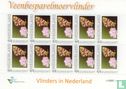 Butterflies in the Netherlands - Cranberry fritillary - Image 1