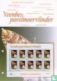 Butterflies in the Netherlands - Cranberry fritillary - Image 2