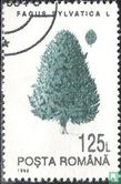 Bomen - Afbeelding 1