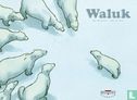 Waluk - Image 1