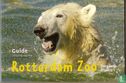 Rotterdam Zoo Guide - Image 1