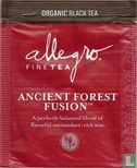 Ancient Forest Fusion [tm] - Bild 1