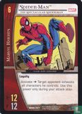 Spider-Man, The Spectacular Spider-Man - Image 1