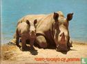 San Diego Wild Animal Park guide - Bild 1