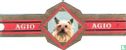 [Yorkshire Terrier] - Image 1