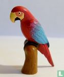 Papegaai - Afbeelding 1