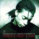 Introducing the hardline according to Terence Trent D'Arby - Afbeelding 1