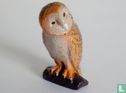 Barn Owl - Image 1