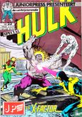 Hulk vs. X-Factor - Bild 1