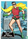 Robin -Boy Wonder - Afbeelding 1