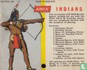 Indianen - Afbeelding 2