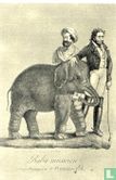 Baba, het fameuze olifantje van Circus Franconi - Afbeelding 1