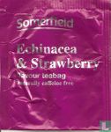 Echinacea & Strawberry - Image 1