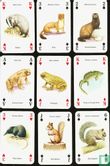 Wild Animals  - Afbeelding 2