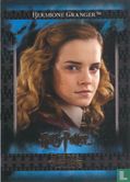 Hermione Granger - Bild 1