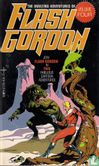 The amazing adventures of Flash Gordon - Afbeelding 1