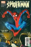 The Amazing Spider-Man 518 - Image 1