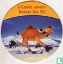 A Camel always breaks the ice - Image 1