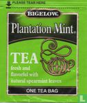 Plantation Mint [r] - Image 1