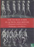 The Human Form in Action and Repose - Image 1