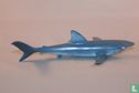 Blauwe haai - Afbeelding 2