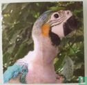 Tassels (Parrot) - Image 2
