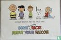 Charlie brown and his pals have: some fascinating facts about your Falcon - Image 1