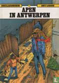 Apen in Antwerpen - Image 1
