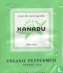 Organic Peppermint - Image 1