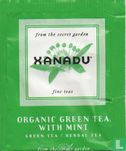 Organic Green Tea with Mint - Bild 1