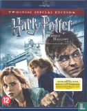 Harry Potter and the Deathly Hallows 1 - Bild 1