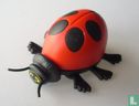 Ladybug - Image 1