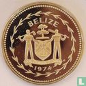 Belize 50 cents 1974 (PROOF - koper-nikkel) "Frigate birds" - Afbeelding 1
