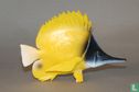 Forceps Butterfly Fish - Image 1