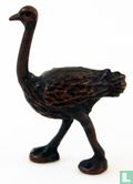 Ostrich - Image 2