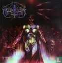 Blackcrowned  - Bild 1