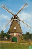 De Zaandplatte